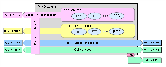 AAA services and IMS